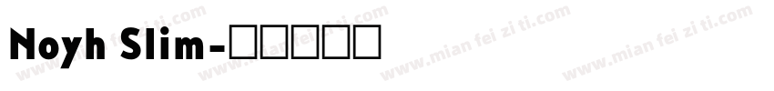 Noyh Slim字体转换